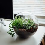 Ökologische Nachhaltigkeit lebt auch im Büro vom Mitmachen aller. Abbildung: Nielsen Ramon/Unsplash