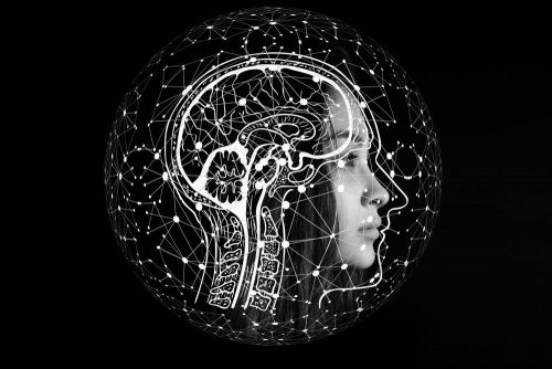Wie passt sich das analoge Gehirn der digitalen Arbeitswelt an? Abbildung: Gerd Altmann, Pixabay