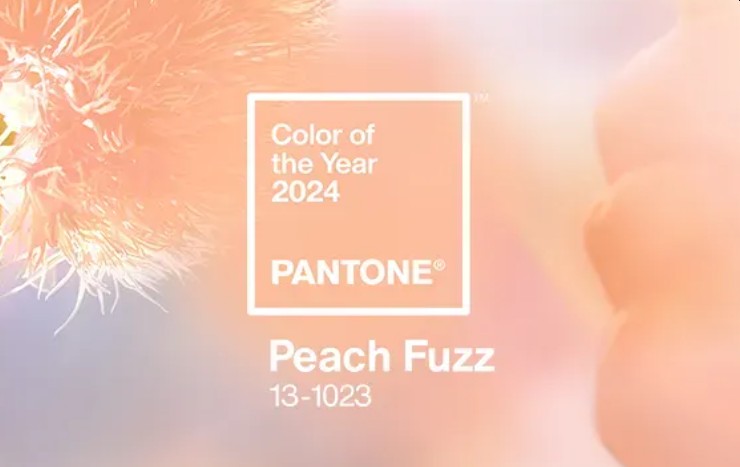 Die Trendfarbe des Jahres 2024 des Pantone Color Institutes: Peach Fuzz. Abbildung: Screenshot/Pantone Color Institute