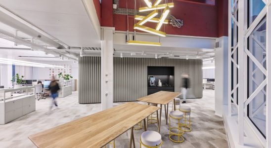 Rund um den zentralen Erschliessungskern ist die Open-Space-Area angeordnet mit Meetingräumen und Einzelbüros. Abbildung: Oliver Rust, Mint Architecture