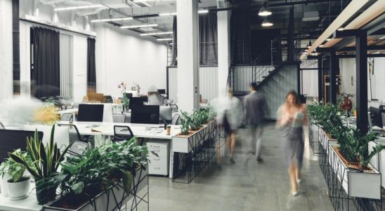 Laut Mindspace-Studie ist ein attraktives Büro ein entscheidendes Kriterium bei der Wahl das Arbeitgebers. Abbildung: AllaSerebrina, Depositphotos