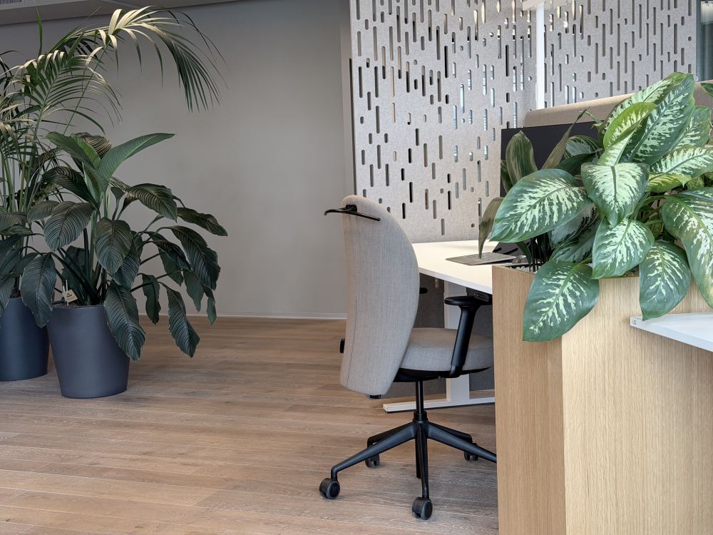 Konzentriertes Arbeiten im Grünen. Pflanzen können das Wohlbefinden steigern. Abbildung: Sheila Emmenegger