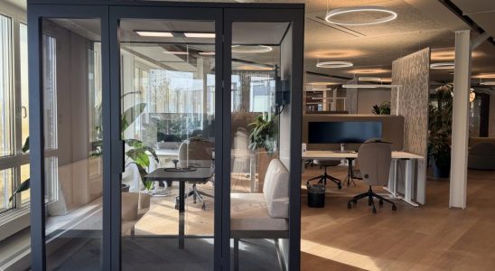 Orte der Kommunikation und Think Thanks: Cubes zonieren die Arbeitsbereiche. Abbildung: Sheila Emmenegger